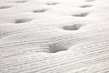 Saltea dumonde Cordelia Essential Pocket 180x200 cm, arcuri individuale, spuma cu memorie, superortopedica, grosime 25 cm